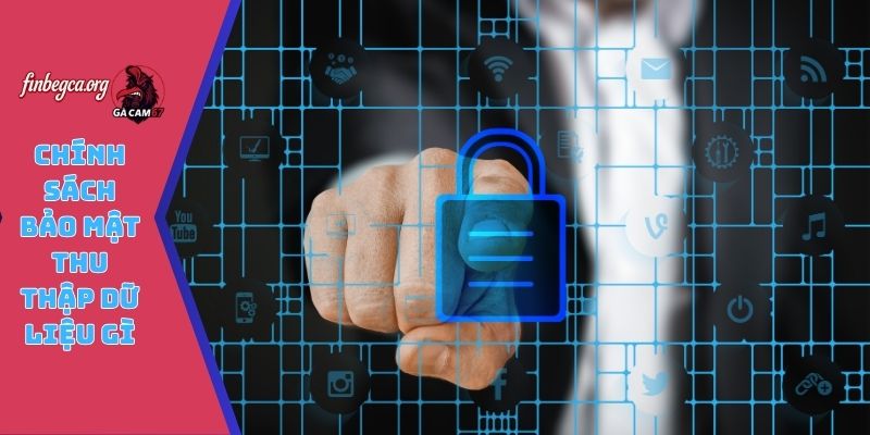 Chính sách bảo mật thu thập dữ liệu gì