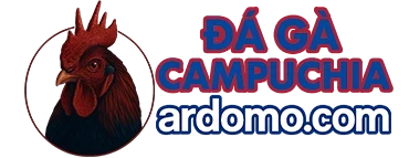 ĐÁ GÀ CAMPUCHIA | TRỰC TIẾP TỪ BỒ C1, C2, C3, THOMO