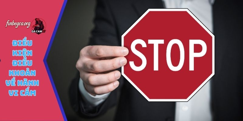 Điều kiện điều khoản về hành vi cấm