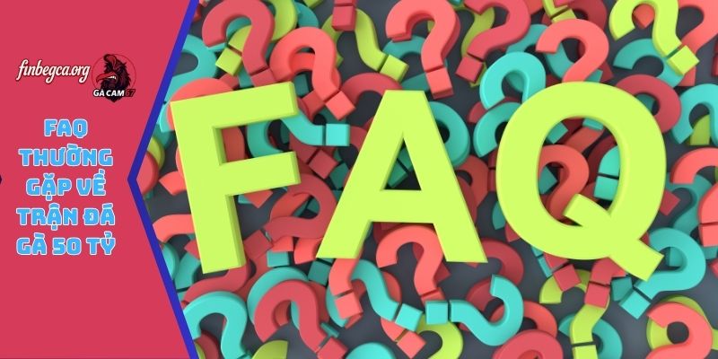 FAQ thường gặp về trận đá gà 50 tỷ
